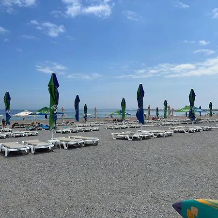 Гостевой дом Plaja Azur Эфорие Норд